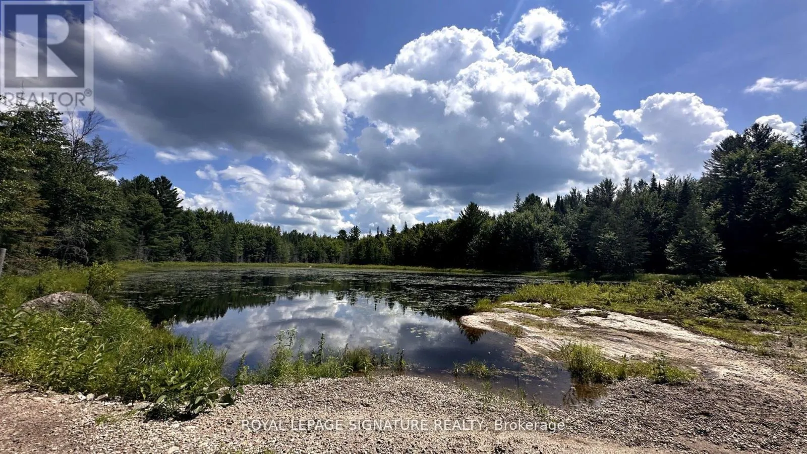 15 Axe Lake Road, McMurrich/Monteith, Ontario P0A 1Y0