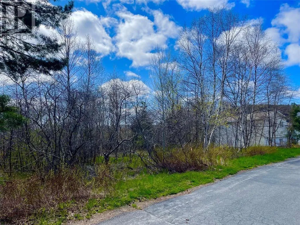 15 Barnes Road, Clarenville, Newfoundland & Labrador A5A 4C5