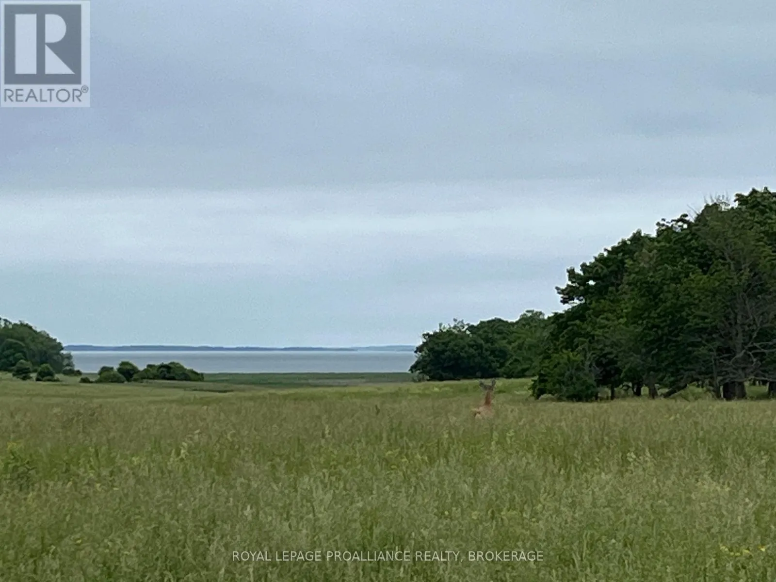 15 Irvine Bay Lane, Frontenac Islands, Ontario K0H 2Y0