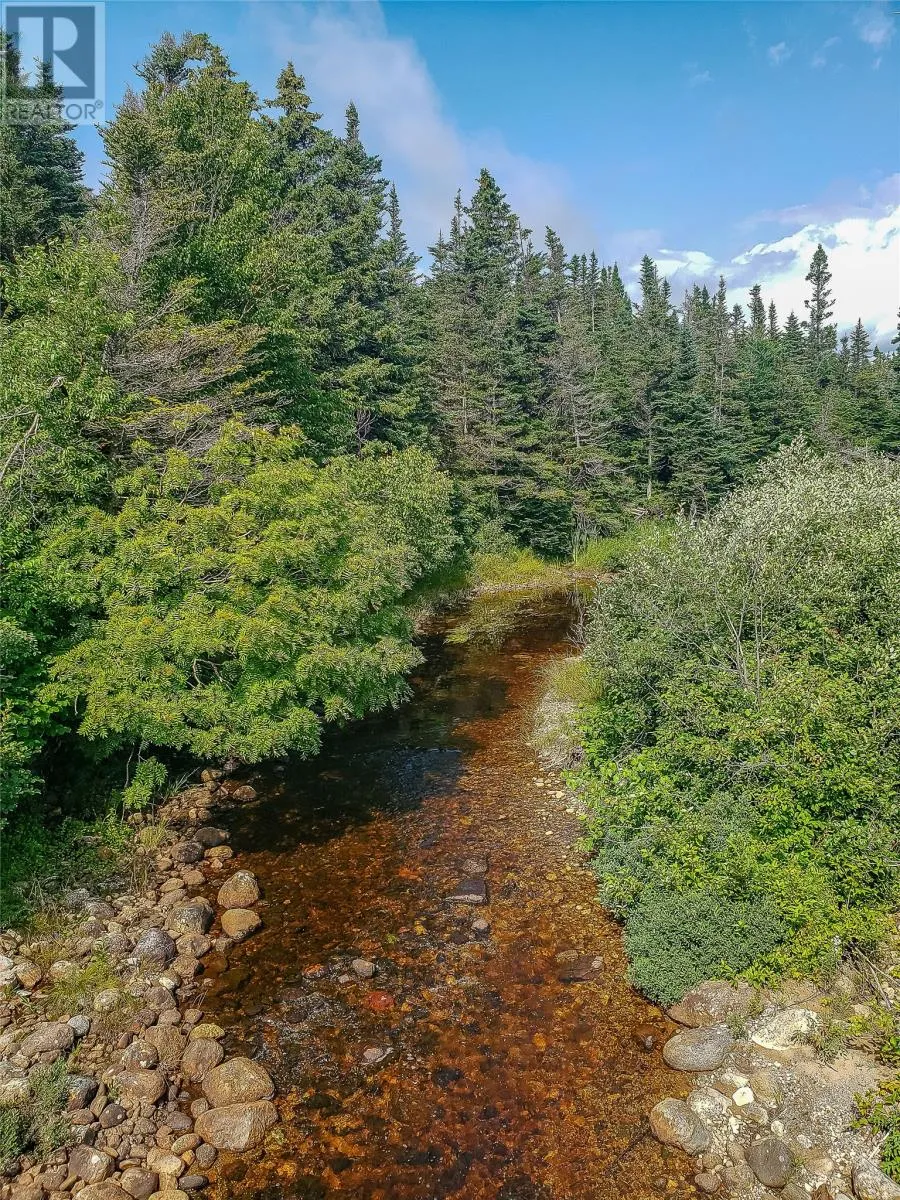 150a Steel Mountain Road, Barachois Brook, Newfoundland & Labrador A0N 1B0