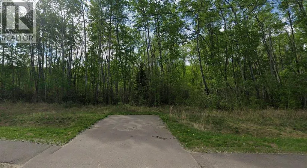 151 Poplar Drive, Conklin, Alberta T0P 1H0