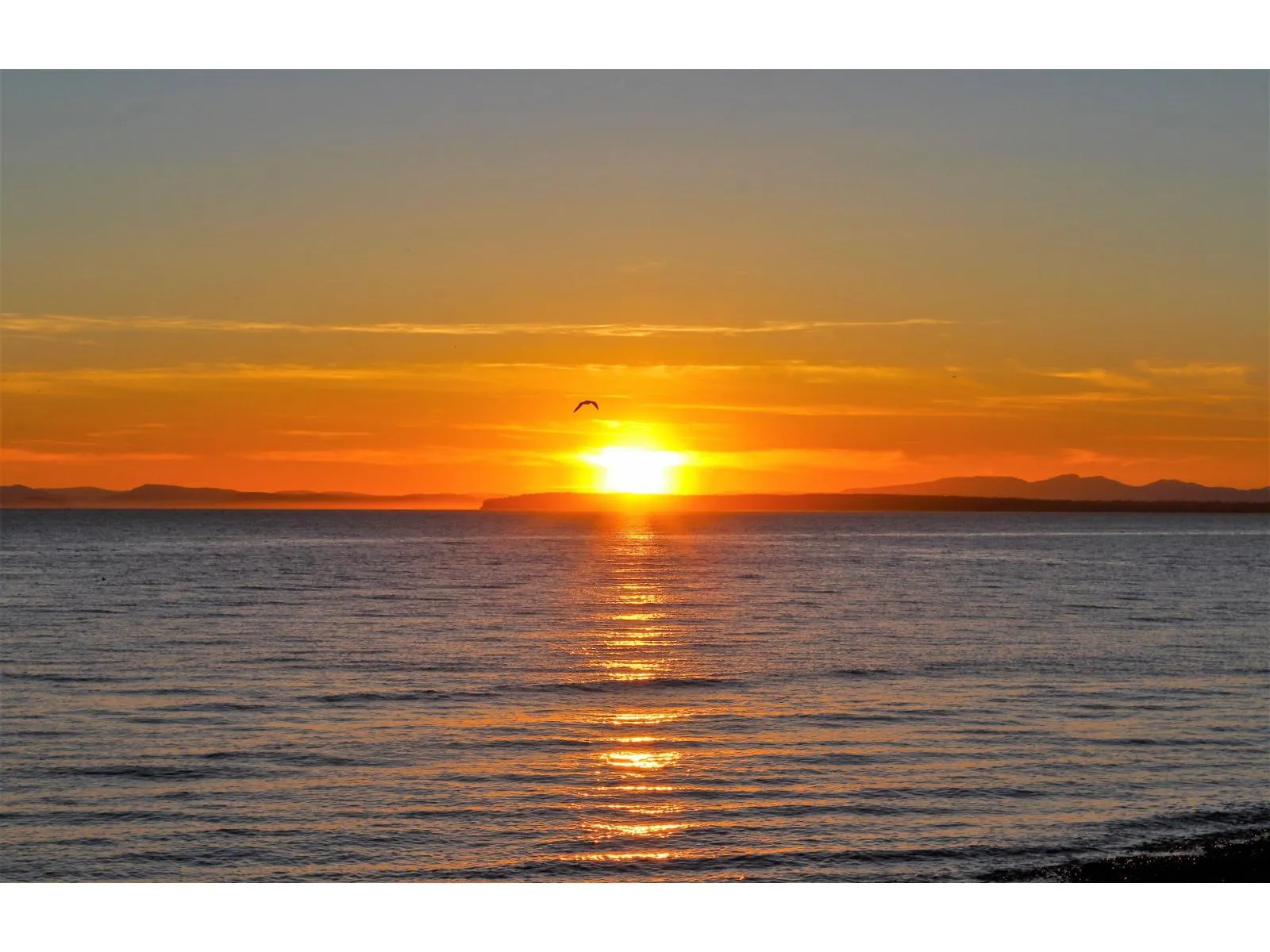 1515 126a Street, Surrey, British Columbia V4A 1K1