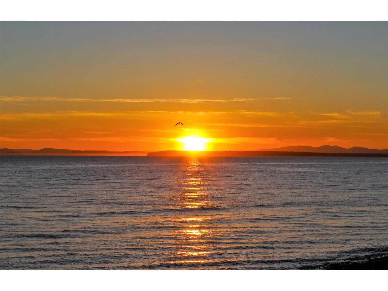 1523 126a Street, Surrey, British Columbia V4A 1K1