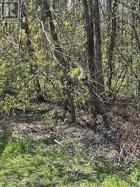 153 Courtland Street, Ramara, Ontario L3V 6H7