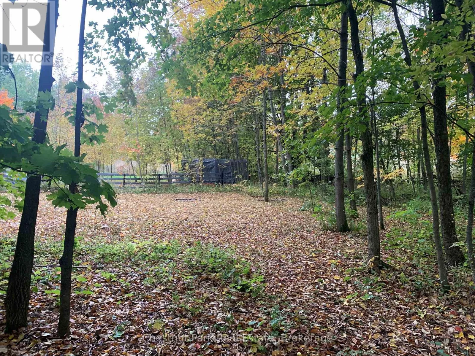 154 Bowles Bluff Road, Grey Highlands, Ontario N0C 1H0