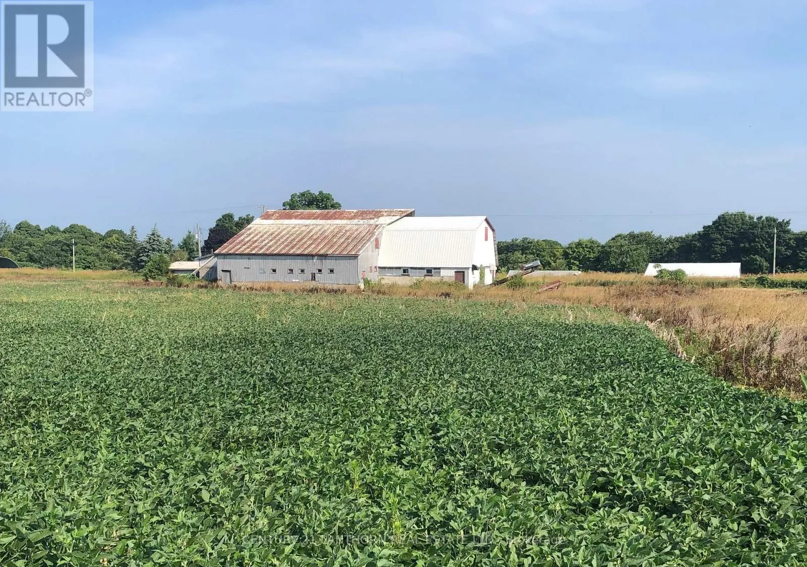 1546 County Road 7 Road W, Prince Edward County, Ontario K0K 2T0