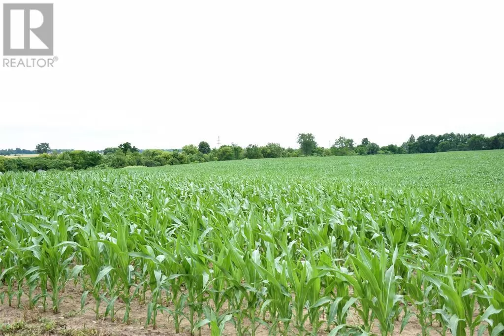 15686 Muirkirk Line, Muirkirk, Ontario N0L 1X0