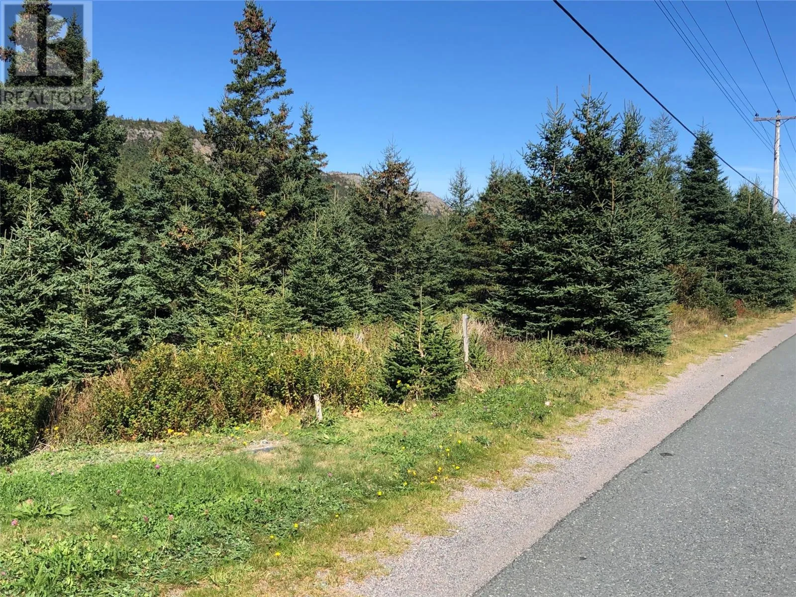 157 Seaforest Drive, Cupids, Newfoundland & Labrador A0A 2B0