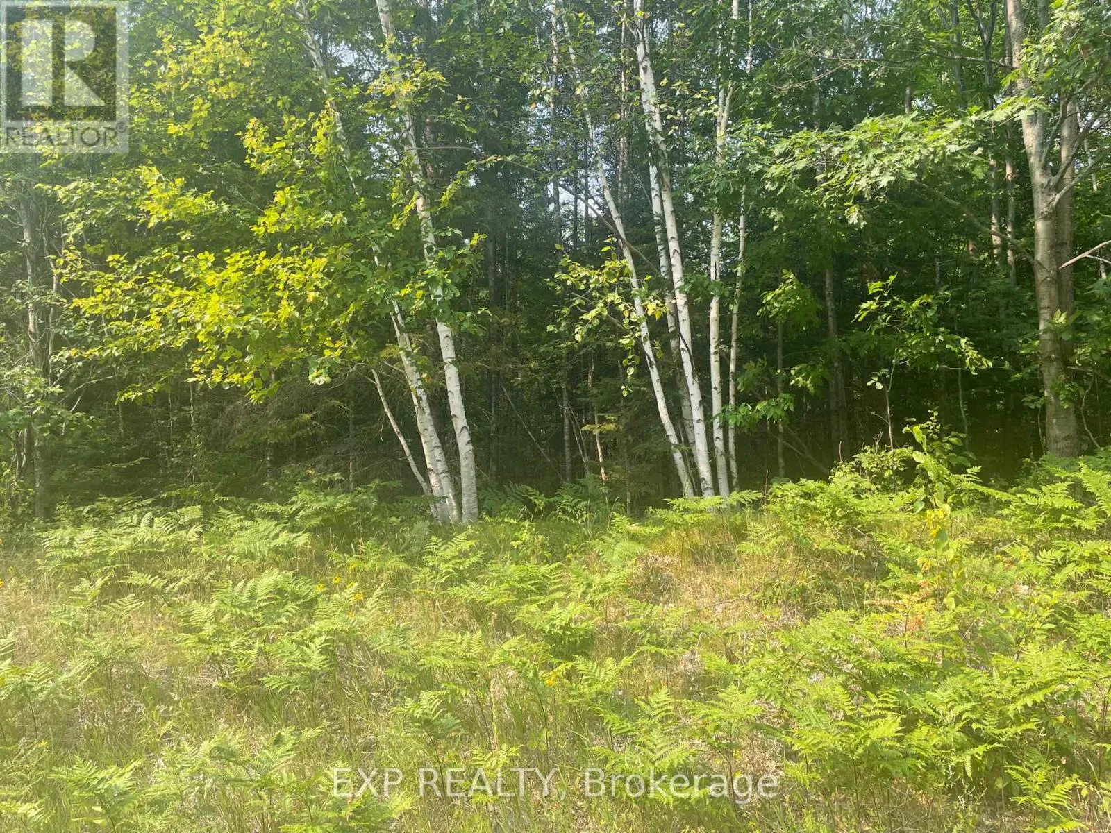 1571 Schutt Road, Brudenell, Lyndoch and Raglan, Ontario K0J 2E0