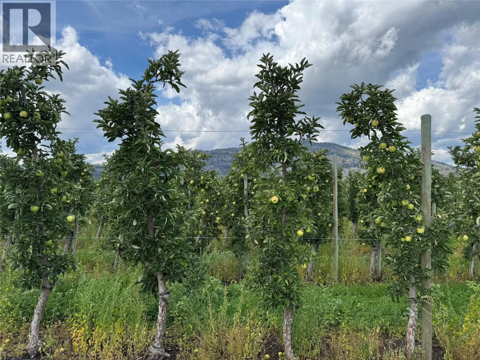 Other for rent: 15812 Logie Road, Summerland, British Columbia V0H 1Z6