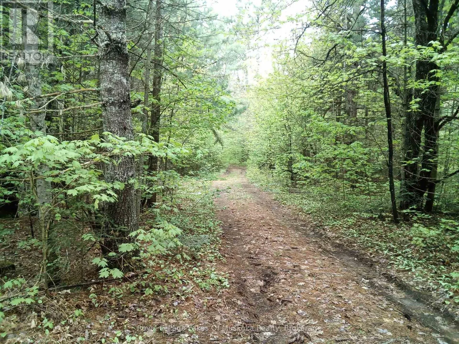 House for rent: 1590 Yearley Road, Huntsville, Ontario P0B 1M0