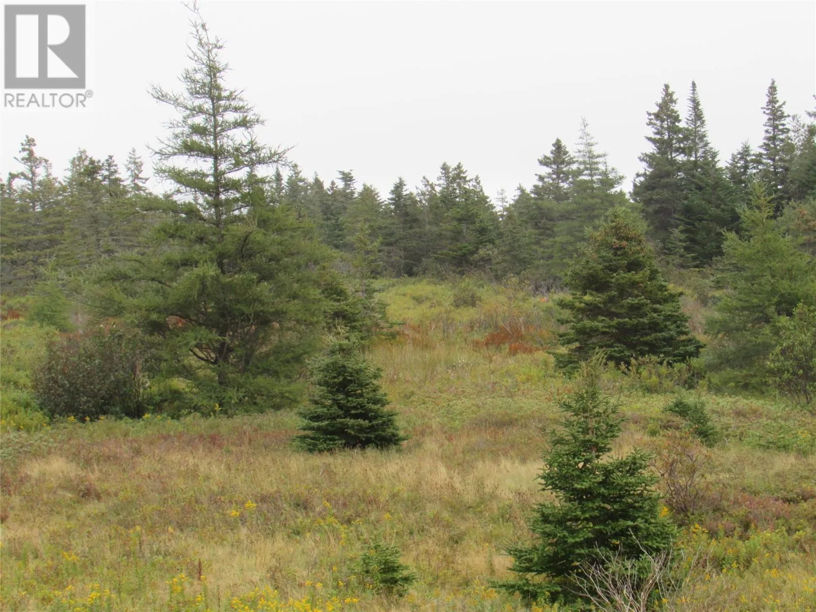 16 Old Road Extension, Colliers, Newfoundland & Labrador A0A 1Y0