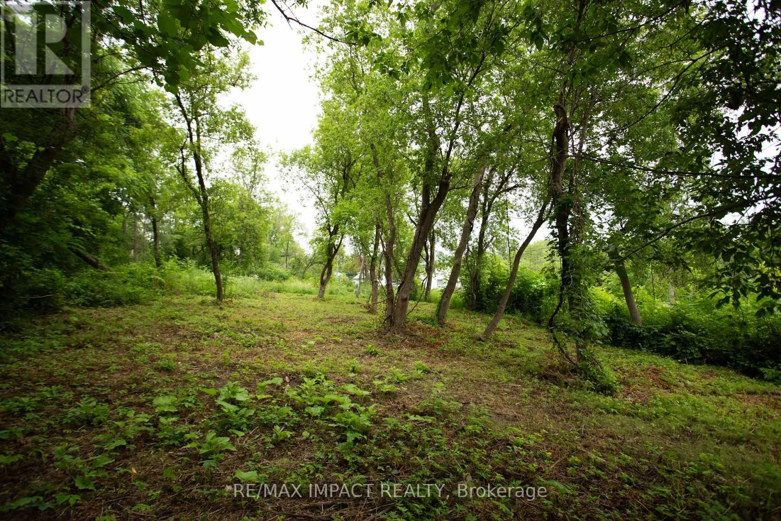 16216 Hwy 2, Pt 3 & Pt 4, Quinte West, Ontario K0K 1H0