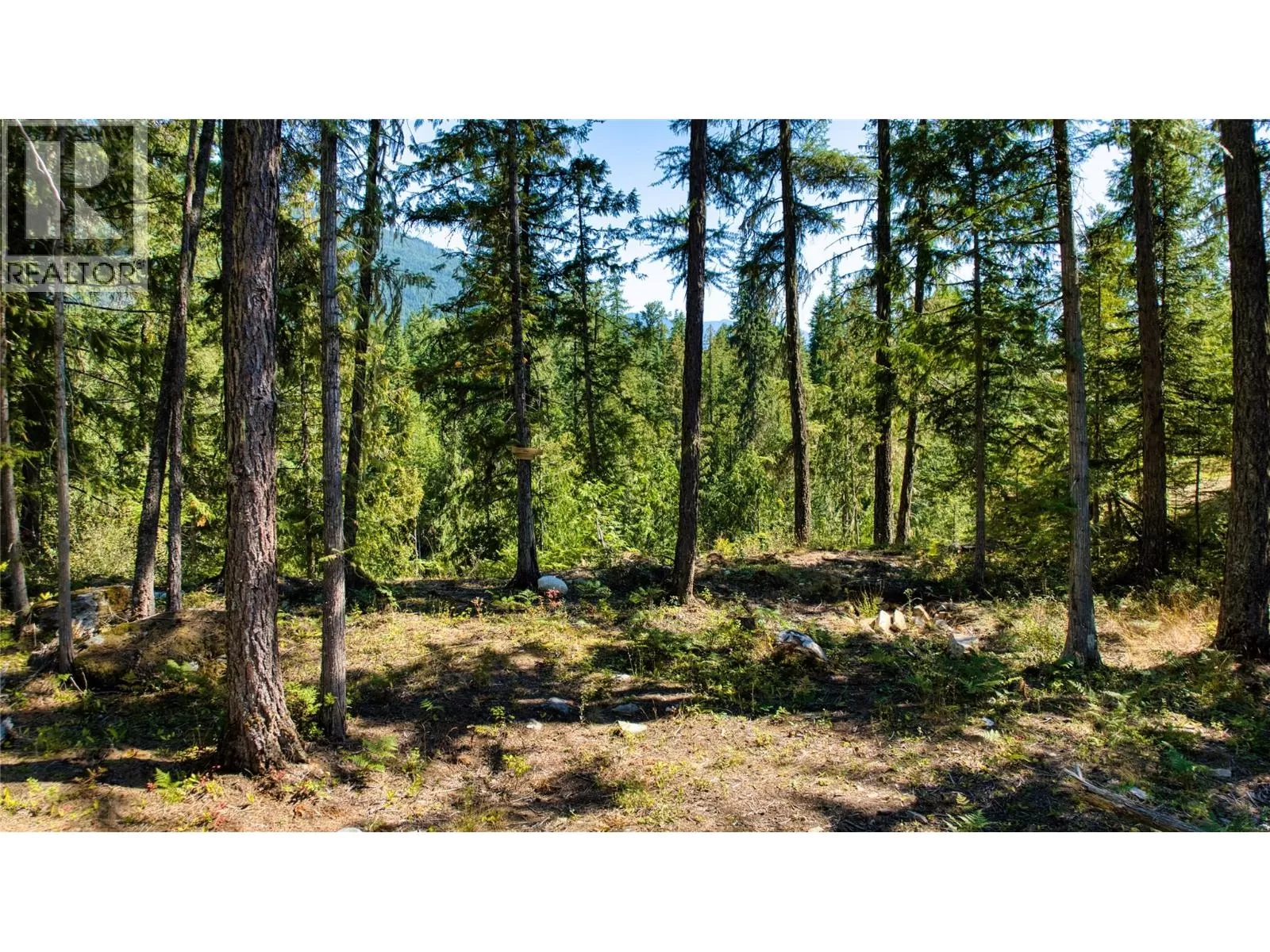 Other for rent: 16300 Wadds Road, Crawford Bay, British Columbia V0B 1E0