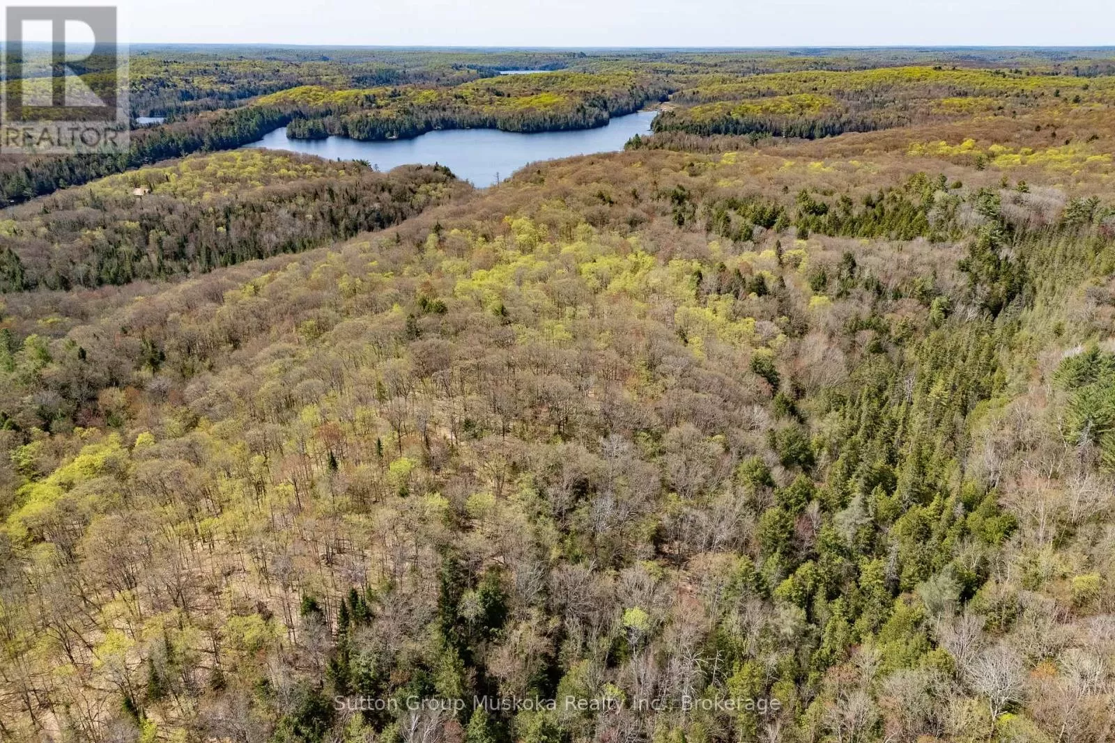 1667 Paint Lake Road, Lake of Bays, Ontario P0A 1E0