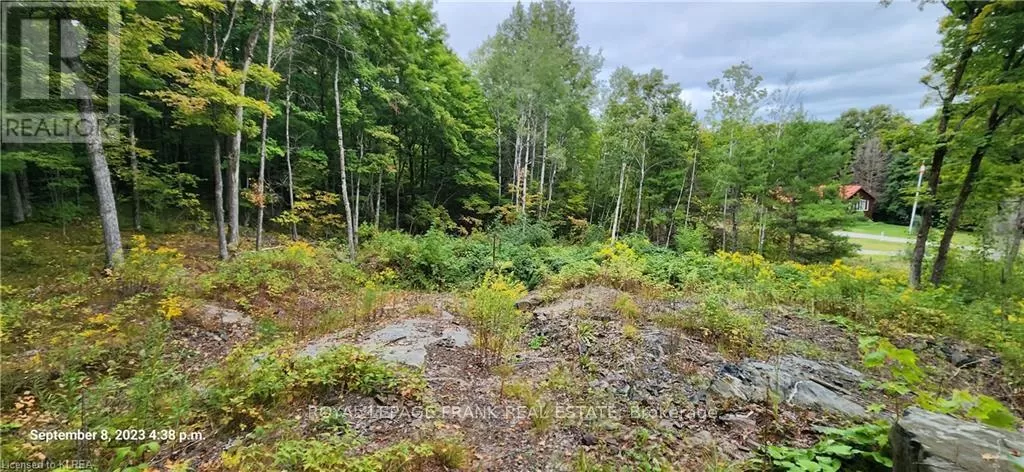 169 Northern Avenue, Trent Lakes, Ontario K0M 1A0