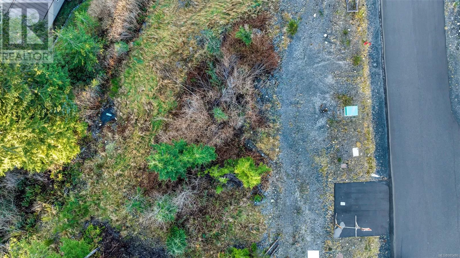 16920 Beachview Dr, Port Renfrew, British Columbia V0S 1K0