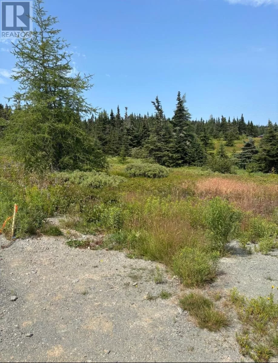 17 Batson's Road, Port Rexton, Newfoundland & Labrador A0C 2H0