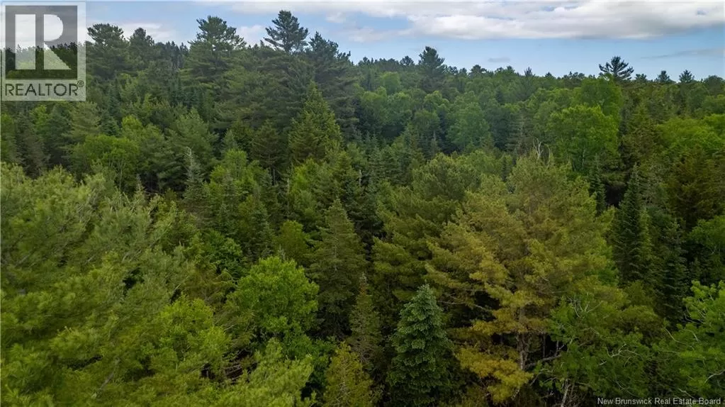 172 Lily Hill Road, Oak Bay, New Brunswick E3L 4E6