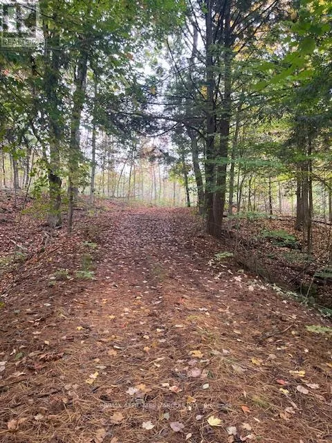 1738 County 2 Road, Front of Yonge, Ontario K0E 1R0