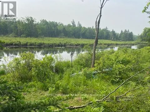 17556 Highway 62, Madoc, Ontario K0K 2K0