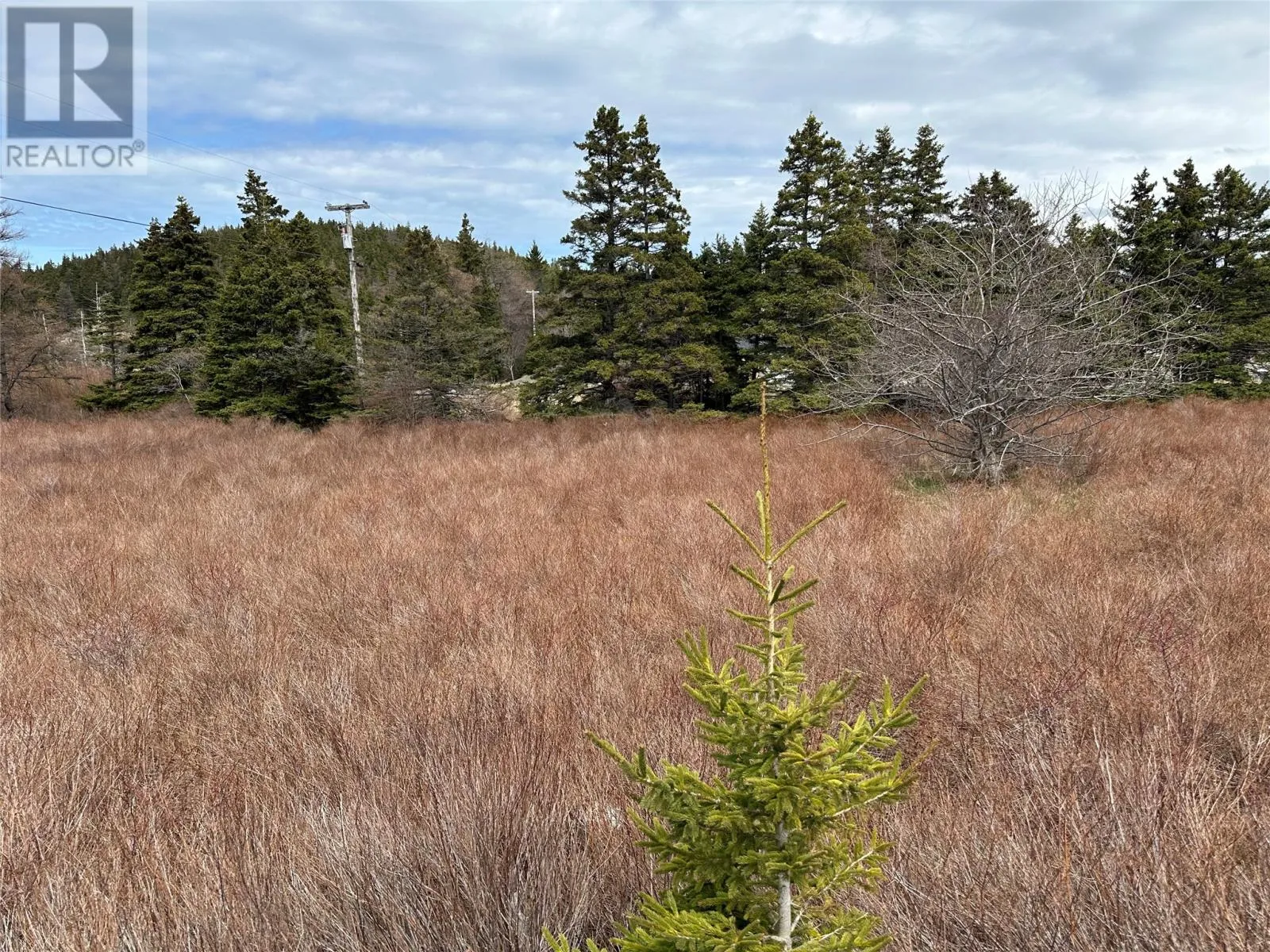 178-208 Conception Bay Highway, Avondale, Newfoundland & Labrador A0A 1B0