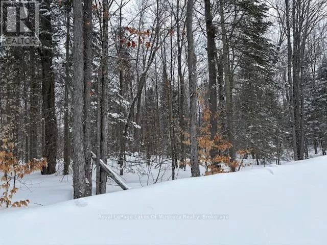 1788 Old Muskoka Road, Huntsville, Ontario P0B 1M0