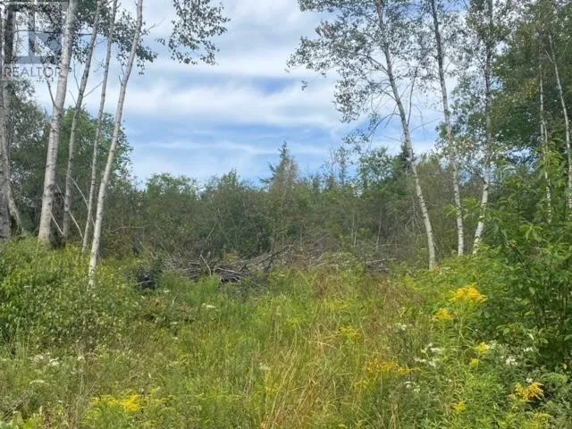 18 Adalynn Lane, Wyses Corner, Nova Scotia B0N 1Y0