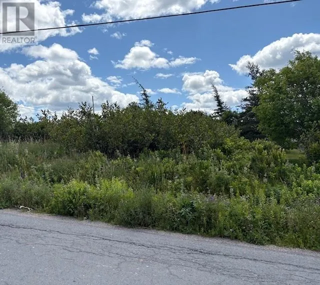 180 Central Street, Bay Roberts, Newfoundland & Labrador A0A 1G0