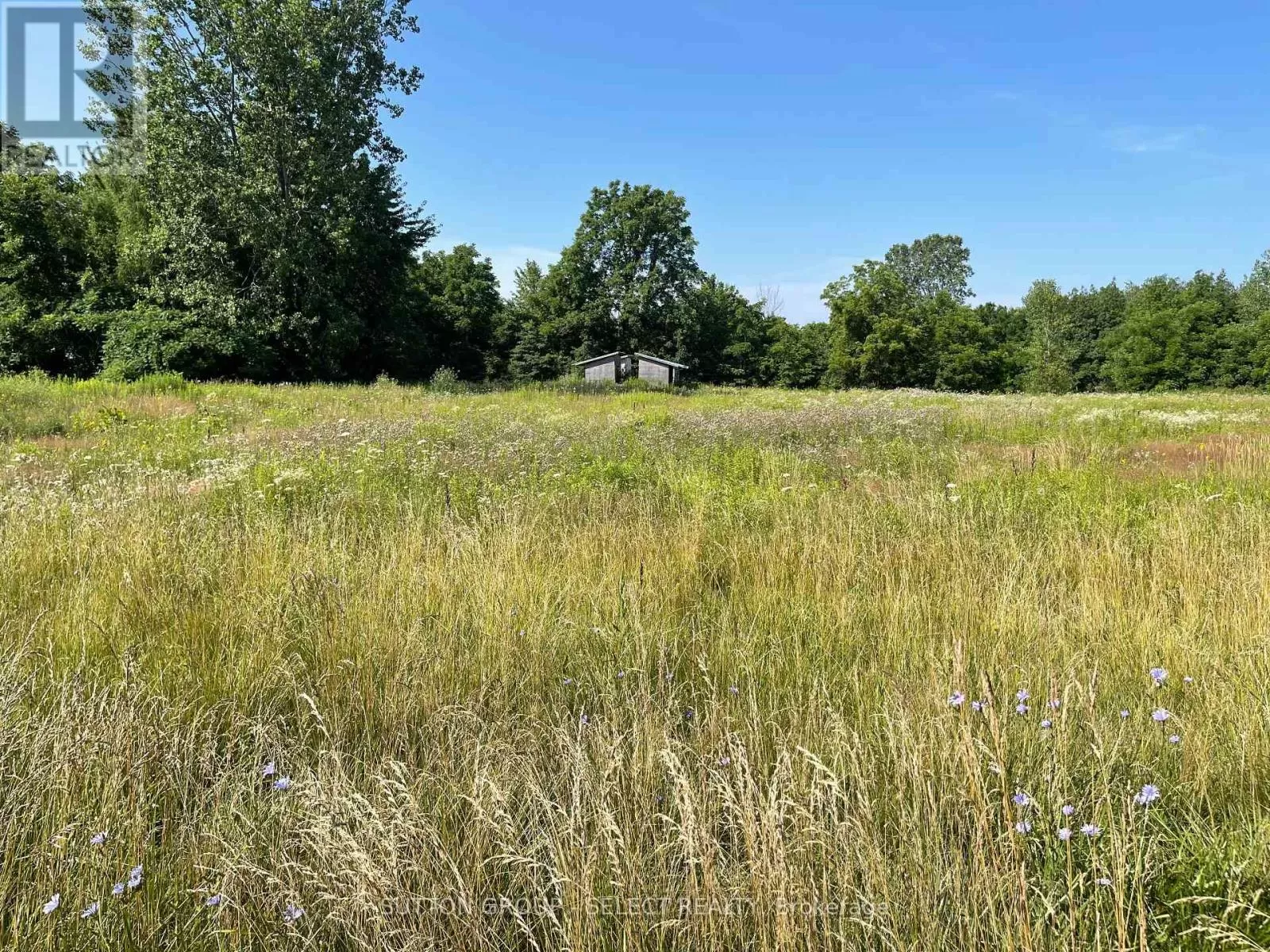 180 Jane Street, West Elgin, Ontario N0L 2C0