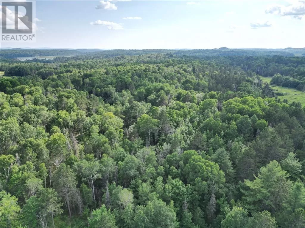 181 Grassy Lake Road, Whitefish, Ontario P0M 3E0