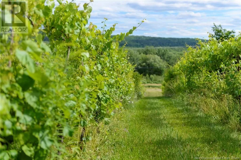 1826 124 Route, Springfield, New Brunswick E5T 2K2