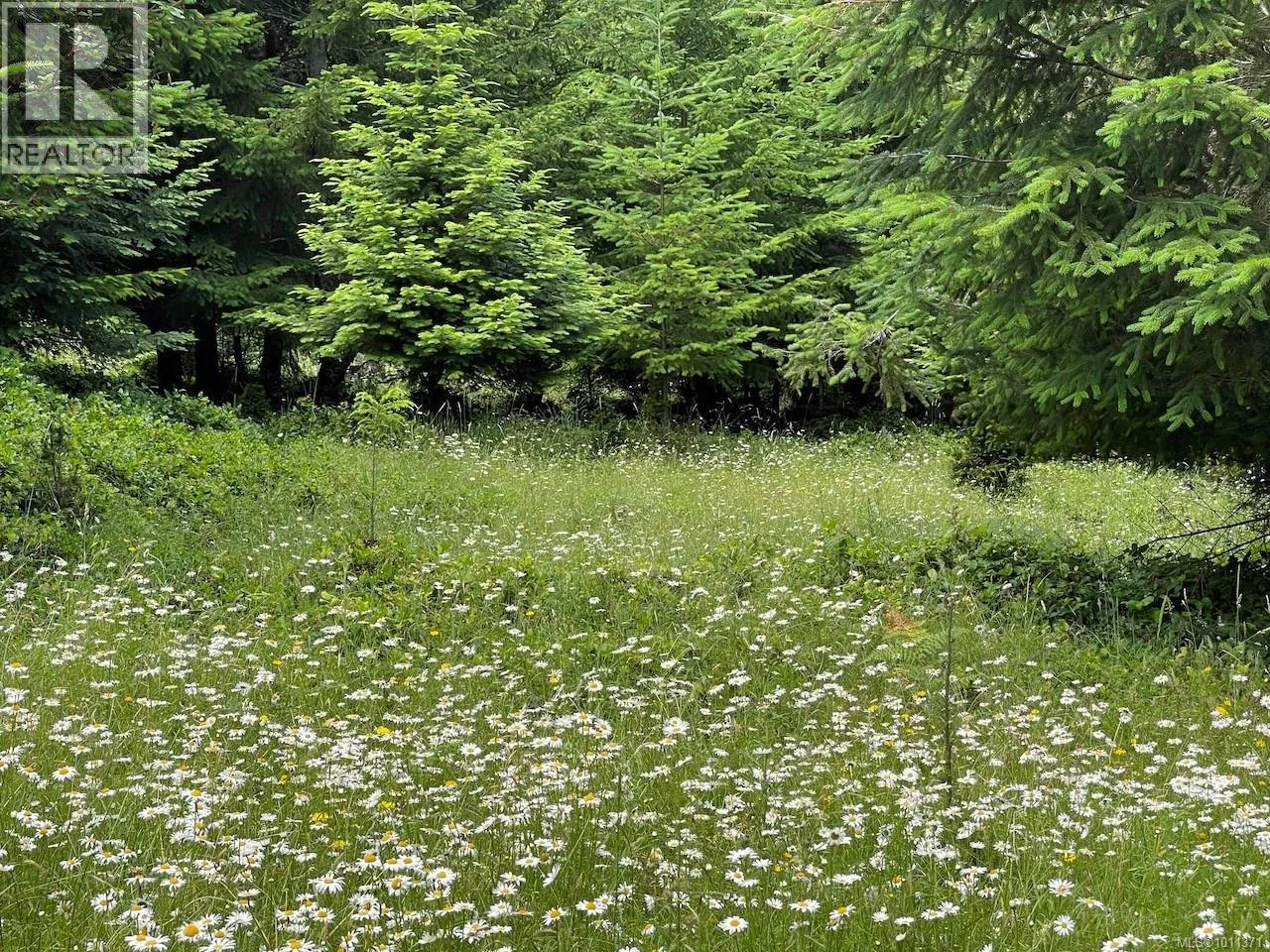 1830 Seymour Rd, Gabriola Island, British Columbia V0R 1X6