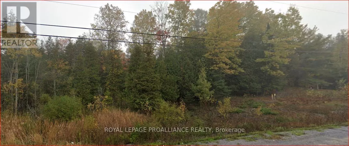 18362 Highway 62, Tudor & Cashel, Ontario K0K 1Y0