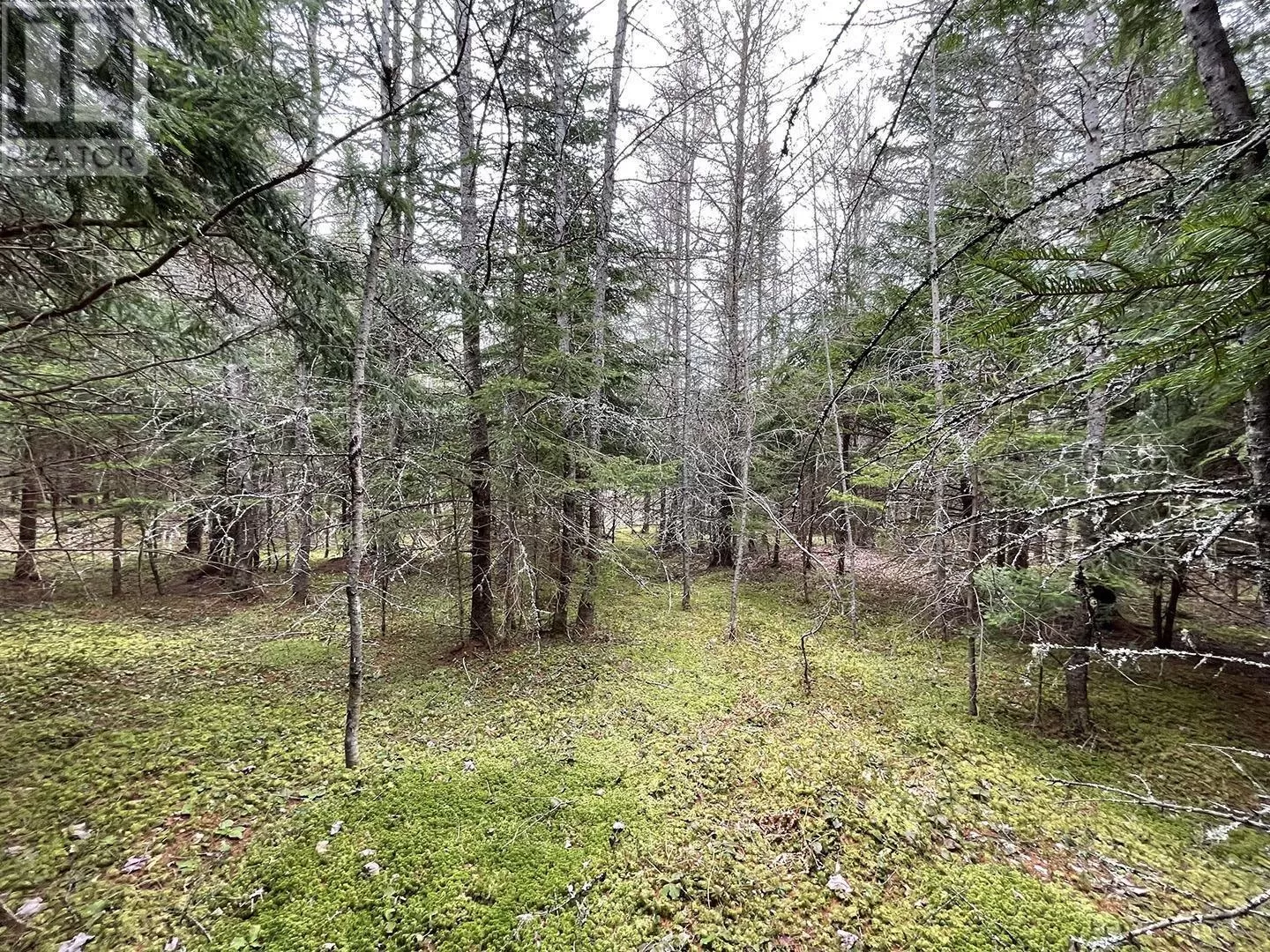 18a Ashfield Road, River Denys, Nova Scotia B0E 3M0