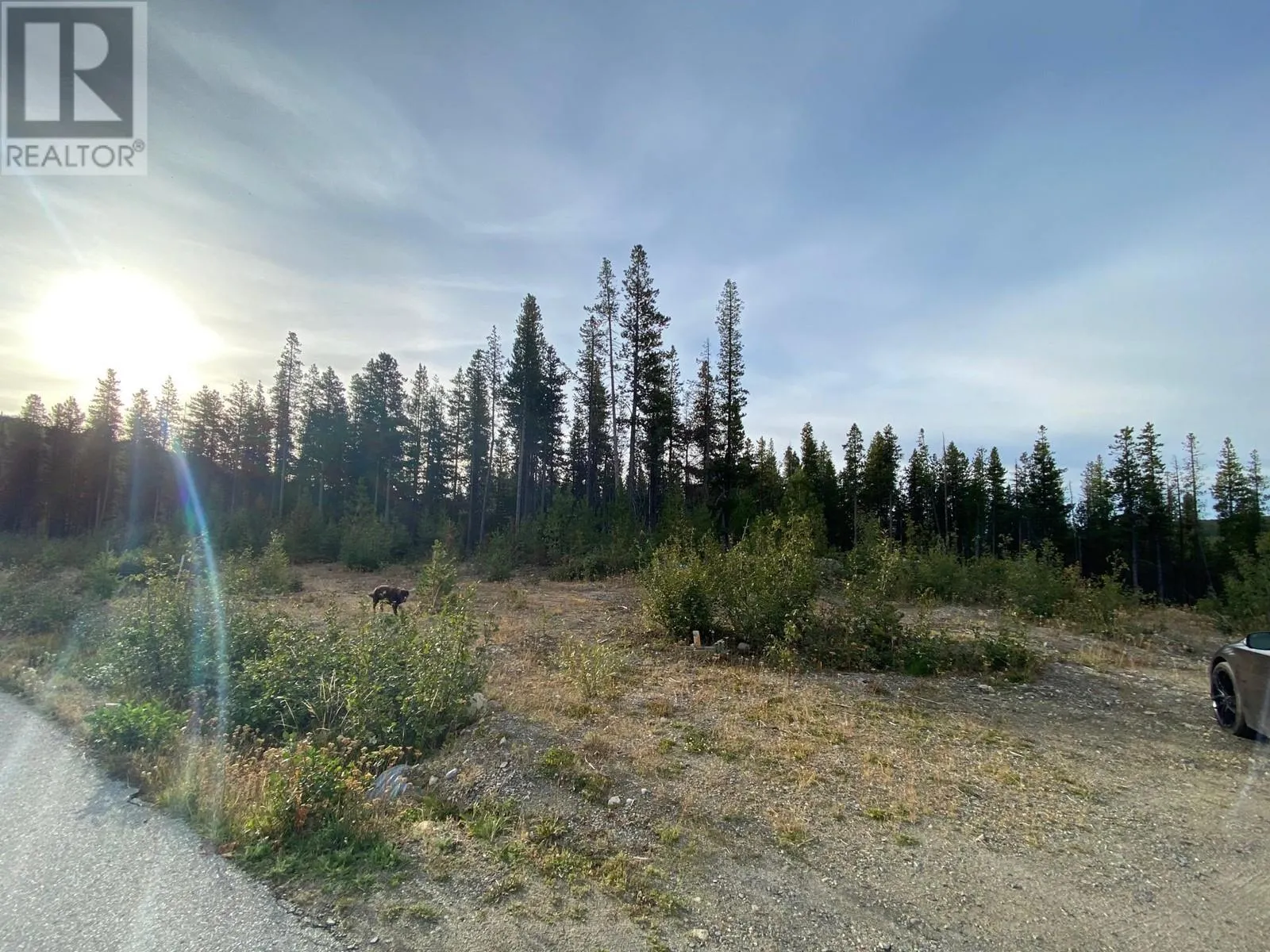 Other for rent: 19 Buck Road, Oliver, British Columbia V0H 1T0