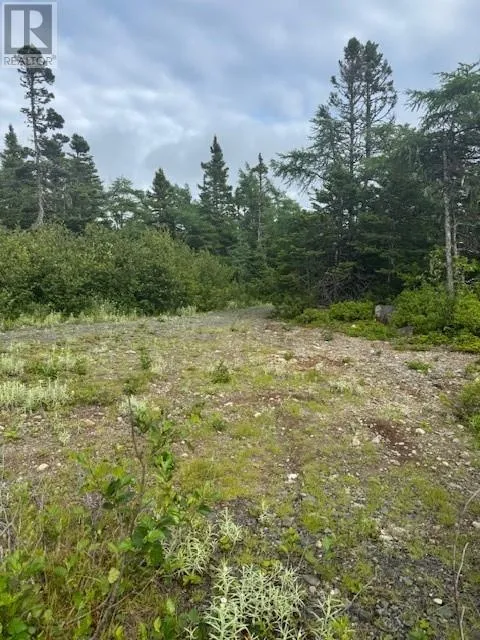 19 Island Pond Road, Spread Eagle, Newfoundland & Labrador A0B 2W0