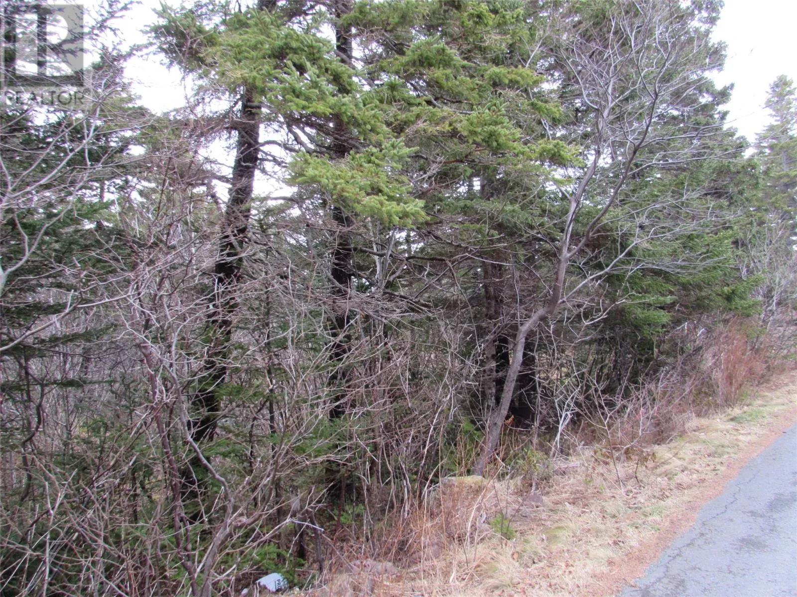 19-23 Bally Hack Road, Avondale, Newfoundland & Labrador A0A 1B0