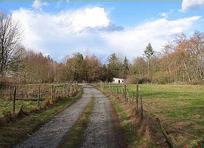 House for rent: 19607 80 Avenue, Langley, British Columbia V3A 4P7