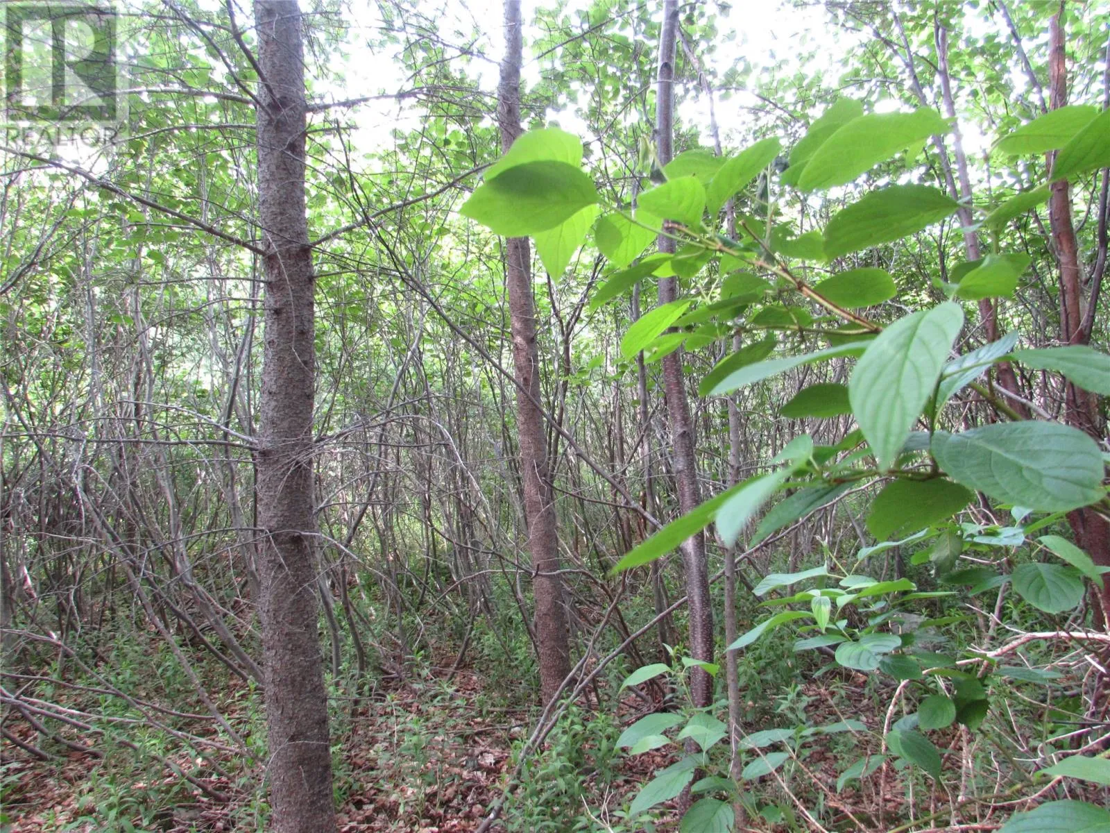 198-220 Dock Ridge Road, Avondale, Newfoundland & Labrador A0A 1B0