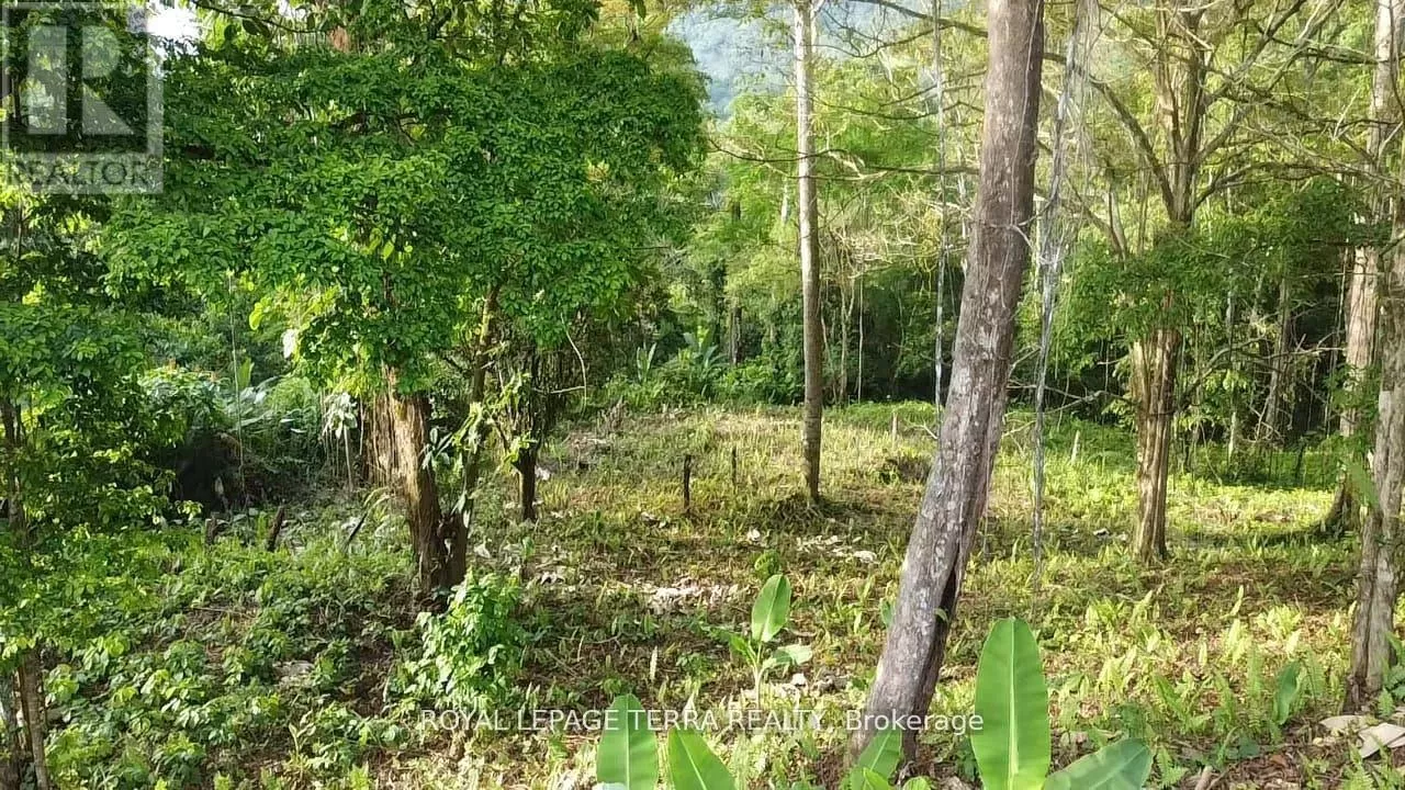 2 Avenida Principle, Costa Rica, Ontario