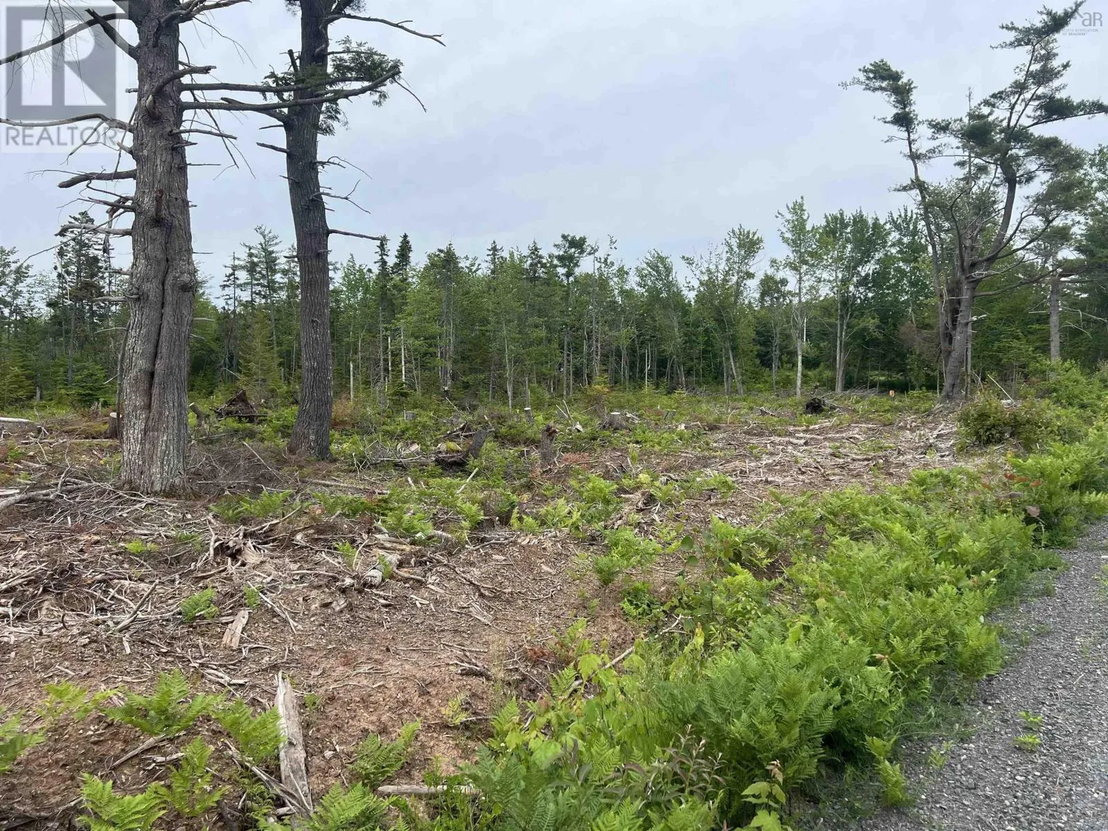 2 Priests Road, Central Caribou, Nova Scotia B0K 1H0