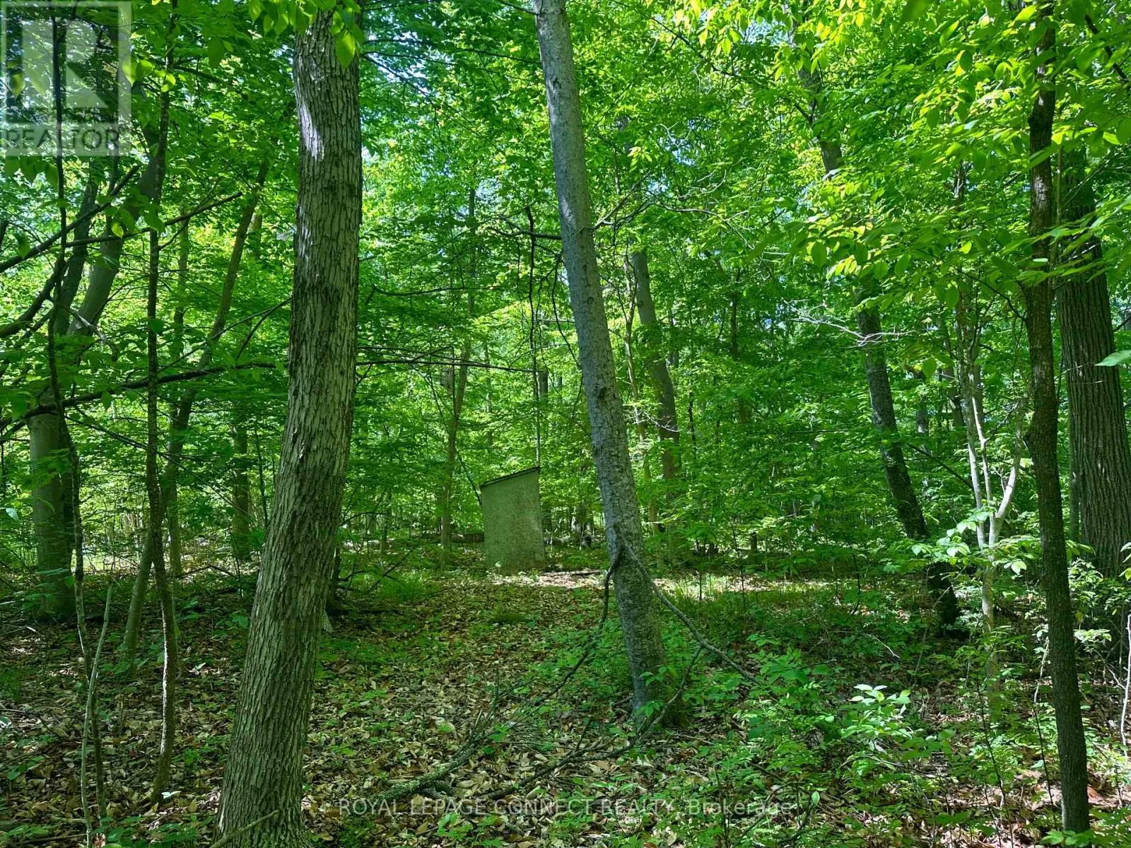 20 Riverside Drive, Trent Hills, Ontario K0L 1L0