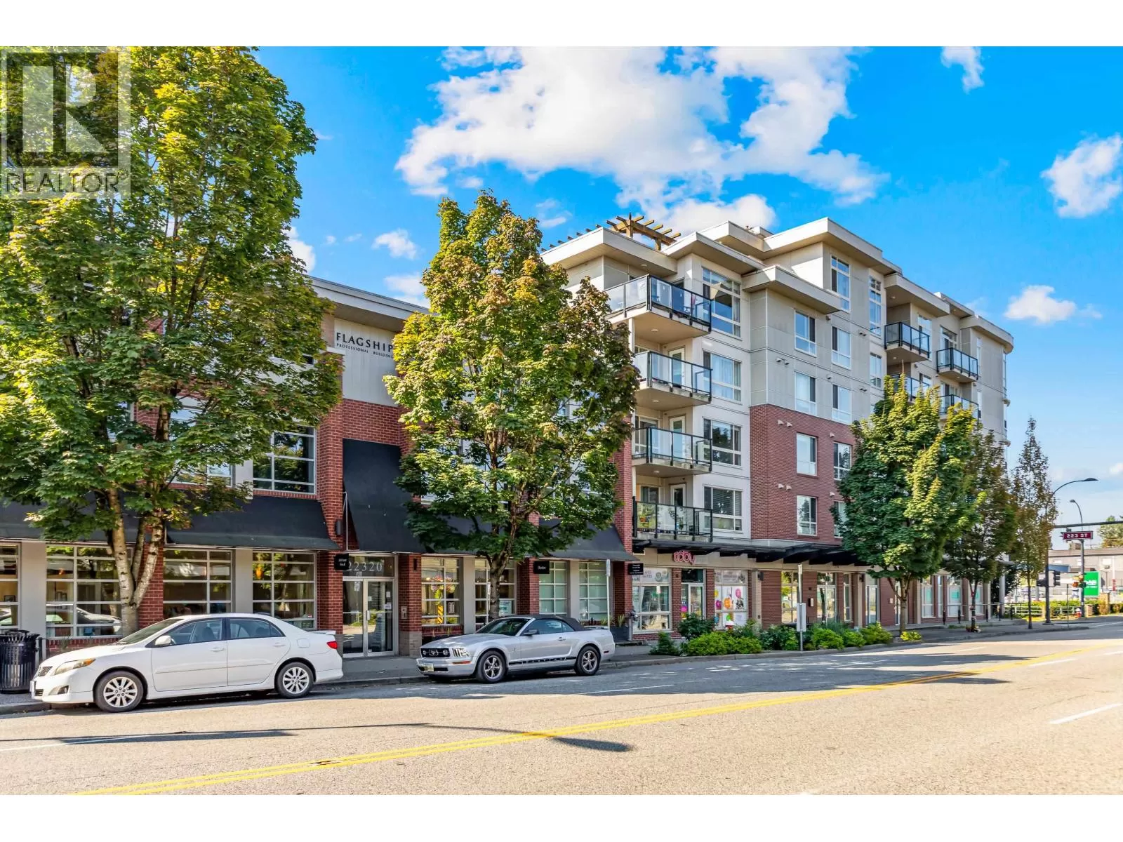 201 22320 Lougheed Highway, Maple Ridge, British Columbia V2X 2T4