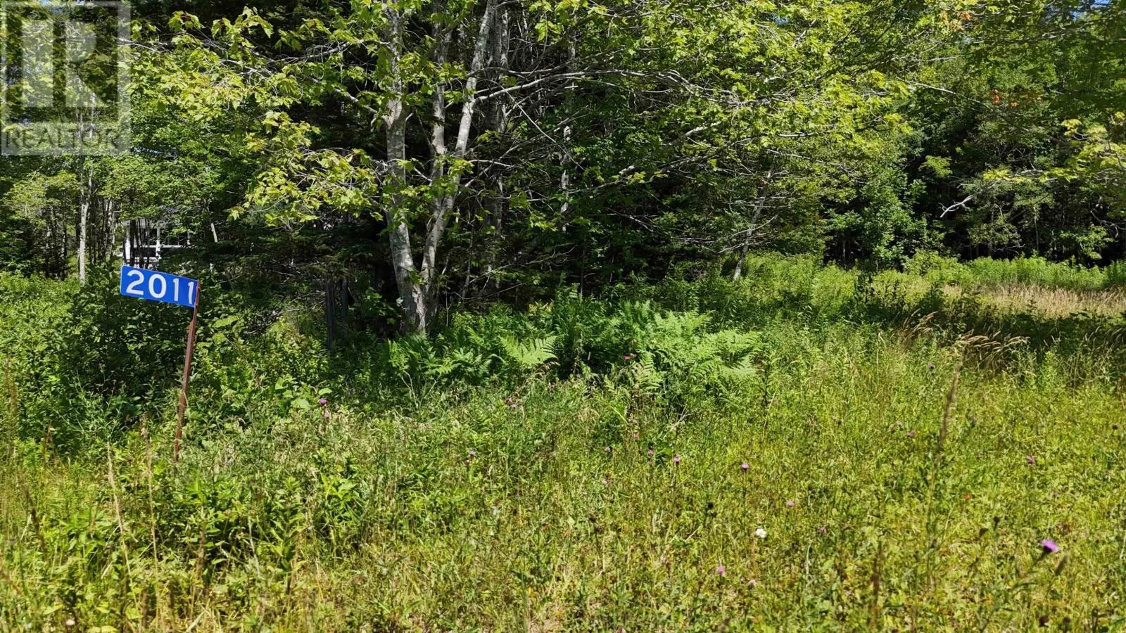 2011 Whiteside Road, Whiteside, Nova Scotia B0E 1J0