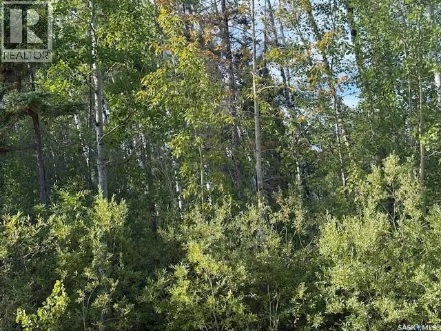 Unknown for rent: 2012 Laronge Avenue, La Ronge, Saskatchewan S0J 1L0