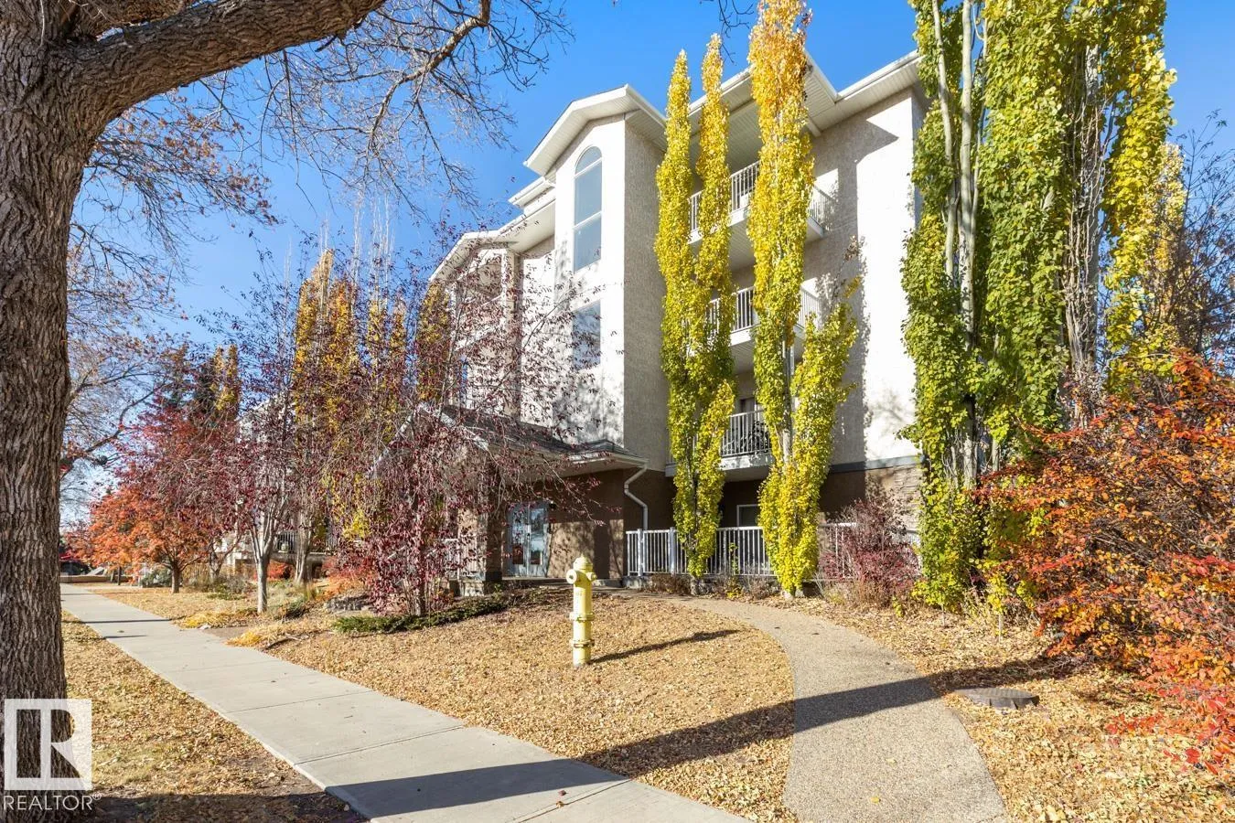 Apartment for rent: #202 10524 77 Av Nw, Edmonton, Alberta T6E 1N1