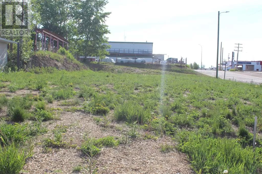 202 4th Avenue, Manning, Alberta T0H 2M0