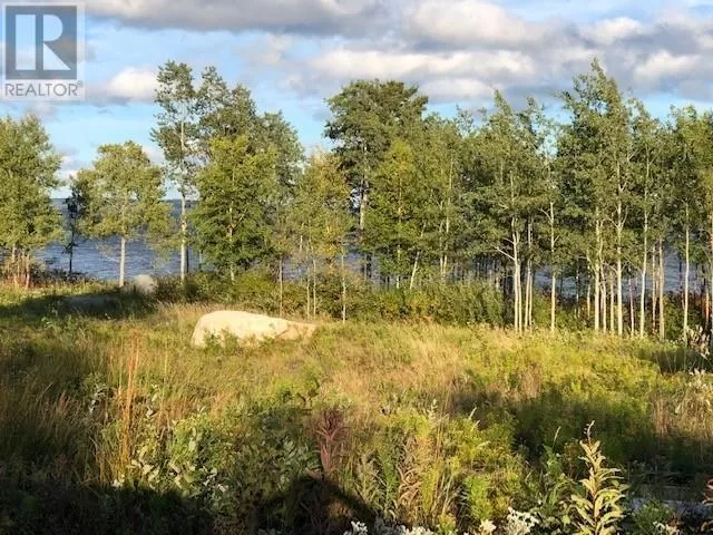 202 Comfort Cove Road, Comfort Cove-Newstead, Newfoundland & Labrador A0G 3A0