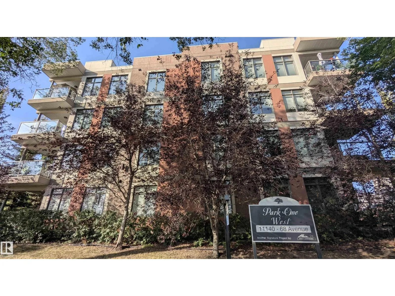 Apartment for rent: #203 11140 68 Av Nw, Edmonton, Alberta T6H 2C2